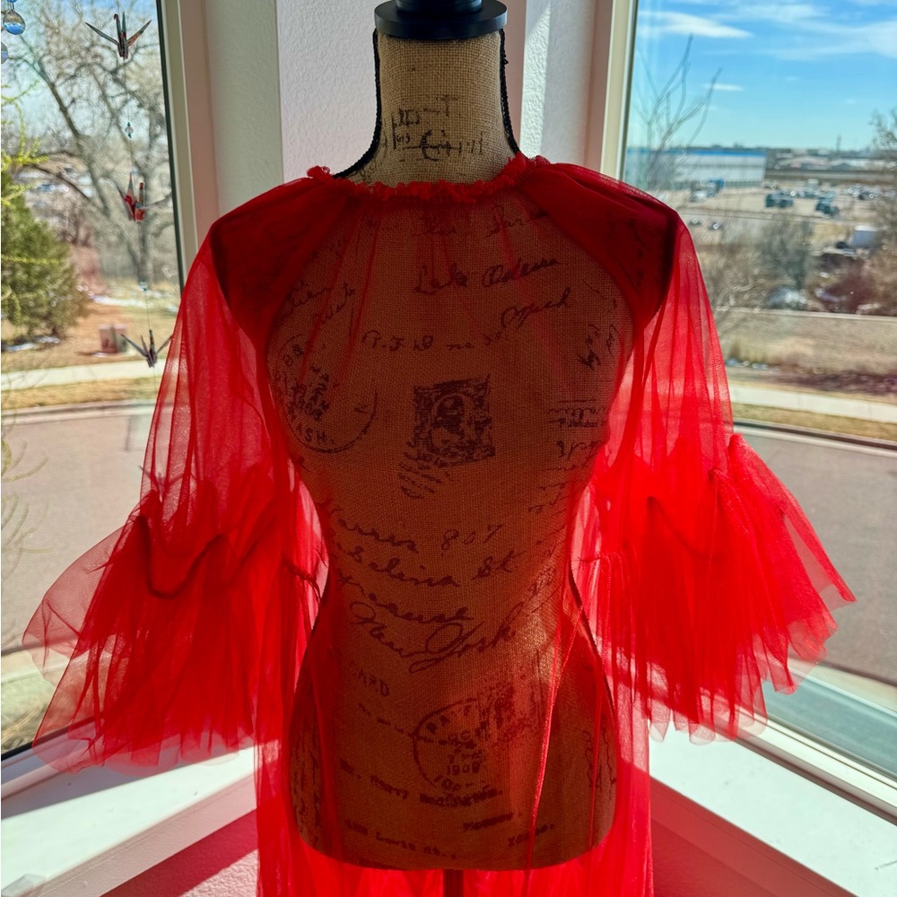 Red Sheer Tulle Gown with Dramatic Sleeves - Picture 6 of 6